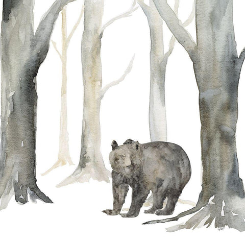 Winter Forest Bear White Modern Wood Framed Art Print with Double Matting by Reed, Tara