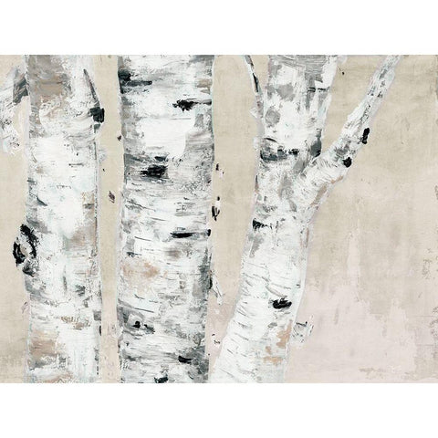 Birch Tree Close Up Neutral White Modern Wood Framed Art Print by Cusson, Marie Elaine