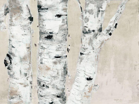 Birch Tree Close Up Neutral White Modern Wood Framed Art Print with Double Matting by Cusson, Marie Elaine