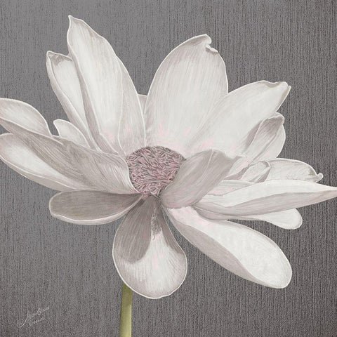 Vintage Lotus on Grey I Black Modern Wood Framed Art Print with Double Matting by Cusson, Marie Elaine