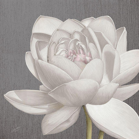 Vintage Lotus on Grey II Black Modern Wood Framed Art Print by Cusson, Marie Elaine