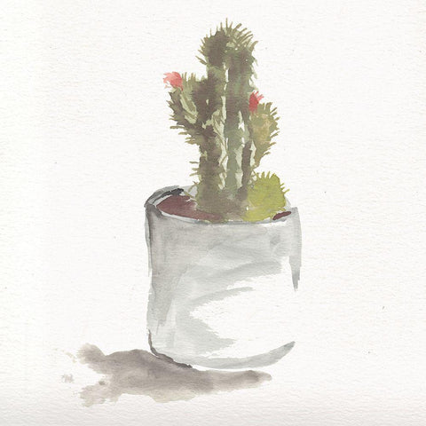Watercolor Cactus Still Life II Black Modern Wood Framed Art Print with Double Matting by Chapman, Marcy