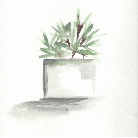Watercolor Cactus Still Life IV Black Modern Wood Framed Art Print with Double Matting by Chapman, Marcy