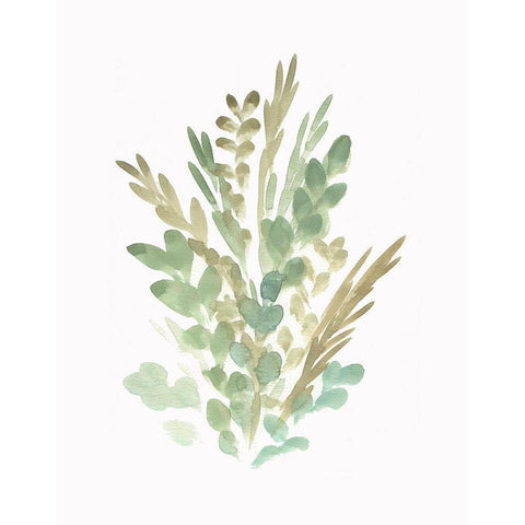 Farmhouse Florals II White Modern Wood Framed Art Print by Chapman, Marcy