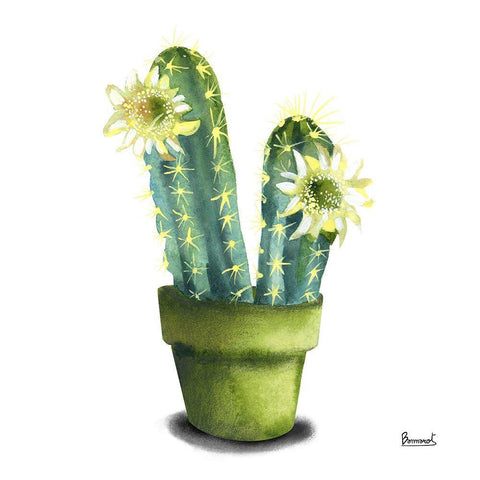 Cactus Flowers II White Modern Wood Framed Art Print with Double Matting by Bannarot