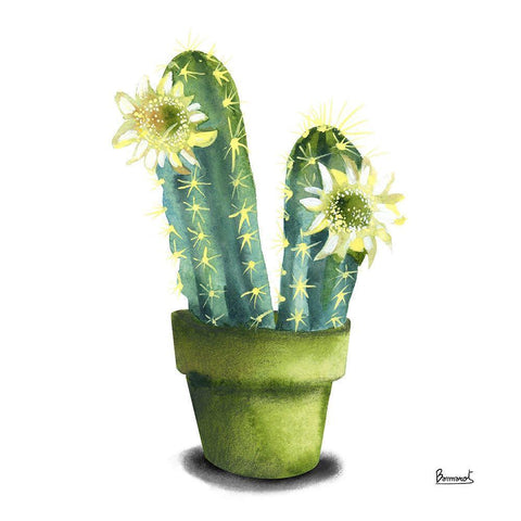 Cactus Flowers II Black Modern Wood Framed Art Print with Double Matting by Bannarot