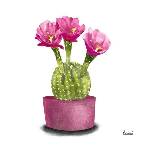 Cactus Flowers V White Modern Wood Framed Art Print by Bannarot