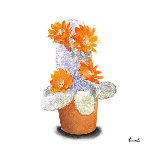 Cactus Flowers VI White Modern Wood Framed Art Print by Bannarot