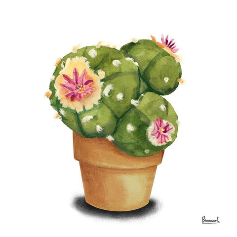 Cactus Flowers VII White Modern Wood Framed Art Print by Bannarot