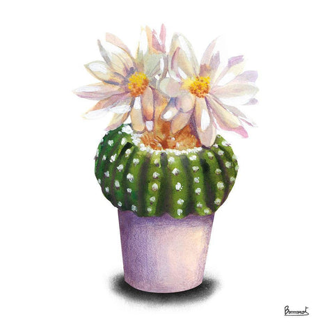 Cactus Flowers IX Black Ornate Wood Framed Art Print with Double Matting by Bannarot