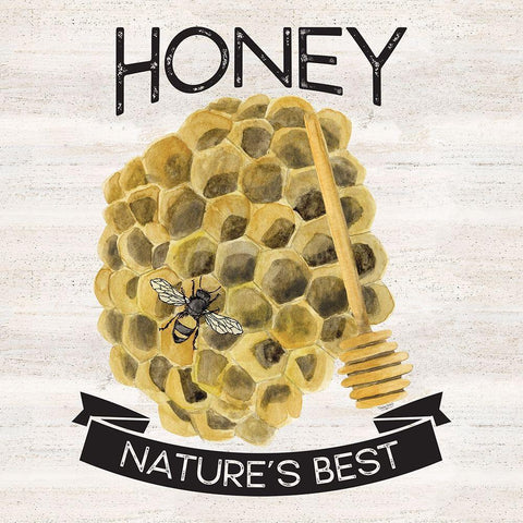 Bees Life II White Modern Wood Framed Art Print by Reed, Tara