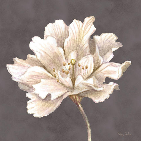 Cream Willow Blossom I Black Ornate Wood Framed Art Print with Double Matting by Wilson, Kelsey