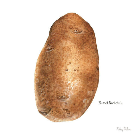 Organic Potatoes III White Modern Wood Framed Art Print by Wilson, Kelsey