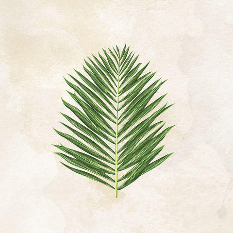 Tropical Leaves II White Modern Wood Framed Art Print with Double Matting by Lee C