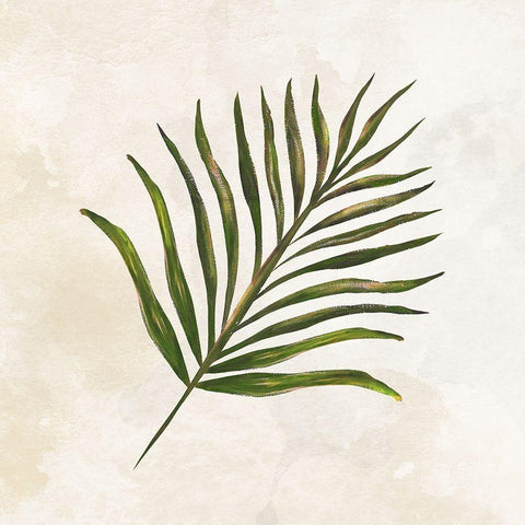 Tropical Leaves IV White Modern Wood Framed Art Print with Double Matting by Lee C