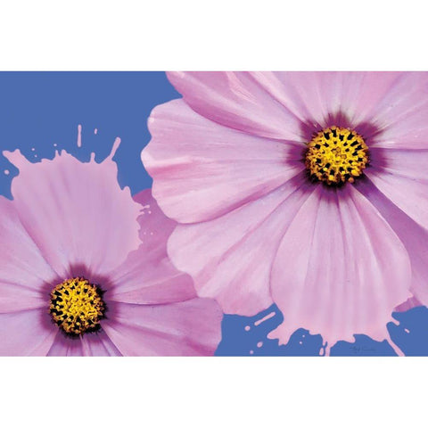 Flower Pop landscape I Black Modern Wood Framed Art Print with Double Matting by Cusson, Marie Elaine