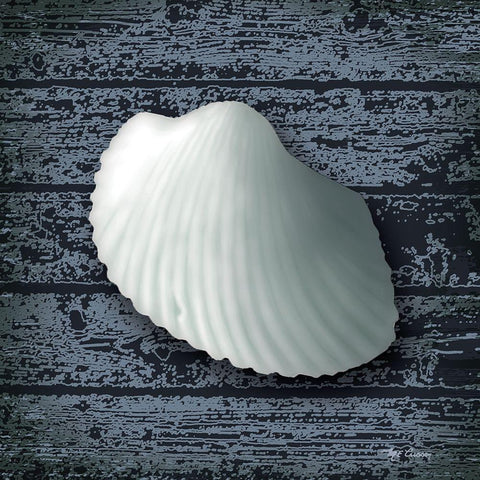 Seashore Shells Navy I White Modern Wood Framed Art Print by Cusson, Marie Elaine