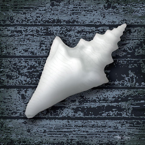 Seashore Shells Navy III Black Modern Wood Framed Art Print with Double Matting by Cusson, Marie Elaine