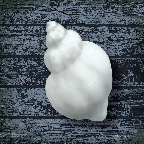 Seashore Shells Navy IV White Modern Wood Framed Art Print by Cusson, Marie Elaine