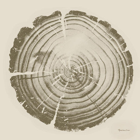 Tree Trunk cream II Black Modern Wood Framed Art Print with Double Matting by Cusson, Marie Elaine