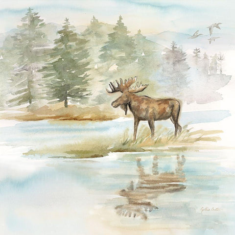 Woodland Reflections II-Moose White Modern Wood Framed Art Print with Double Matting by Coulter, Cynthia