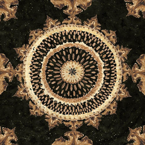 Warm Tribal Texture Medallion II Black Ornate Wood Framed Art Print with Double Matting by Tre Sorelle Studios