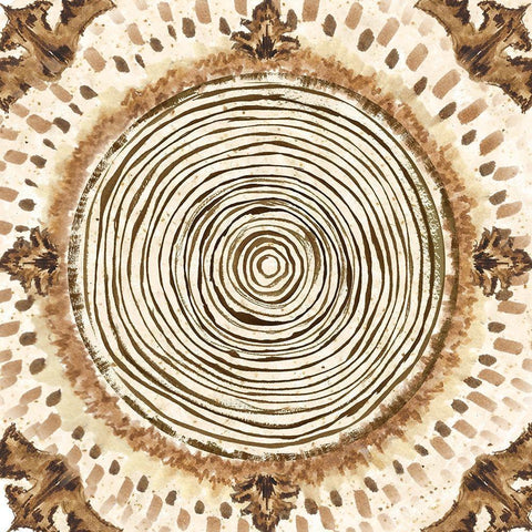 Warm Tribal Texture Medallion III White Modern Wood Framed Art Print with Double Matting by Tre Sorelle Studios