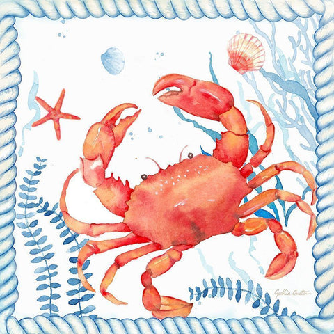 Nautical Sea Life I-Crab White Modern Wood Framed Art Print by Coulter, Cynthia