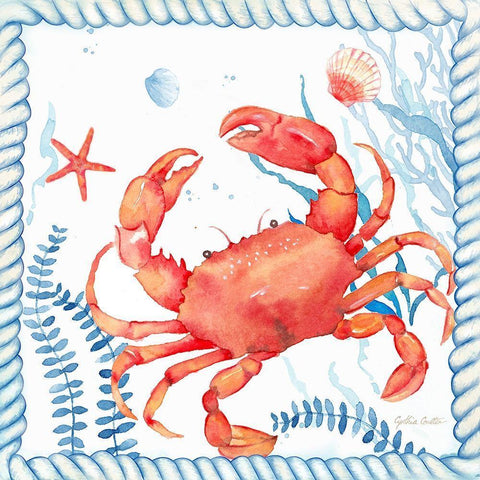 Nautical Sea Life I-Crab White Modern Wood Framed Art Print with Double Matting by Coulter, Cynthia