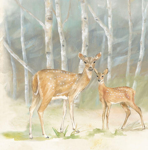 Woodland Reflections IV-Doe White Modern Wood Framed Art Print with Double Matting by Coulter, Cynthia