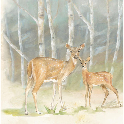 Woodland Reflections IV-Doe Black Modern Wood Framed Art Print with Double Matting by Coulter, Cynthia