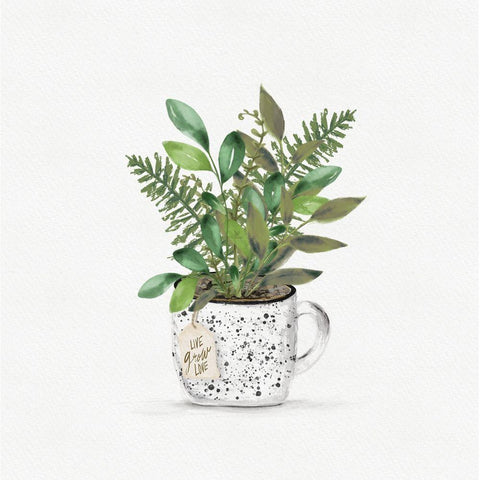 Botanical Mug II White Modern Wood Framed Art Print with Double Matting by HM Design