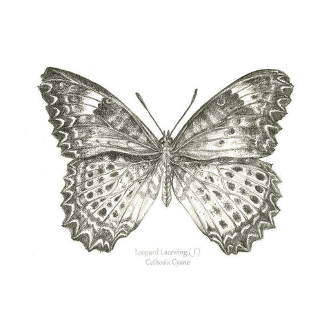 Butterfly Sketch landscape I White Modern Wood Framed Art Print by Wilson, Kelsey