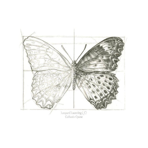 Butterfly Sketch landscape II Black Modern Wood Framed Art Print by Wilson, Kelsey