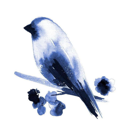 Image Only