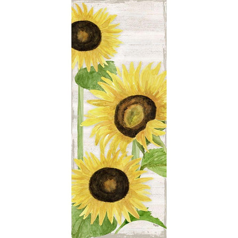 Fall Sunflowers panel I Black Modern Wood Framed Art Print with Double Matting by Reed, Tara