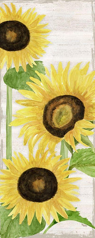 Fall Sunflowers panel I White Modern Wood Framed Art Print with Double Matting by Reed, Tara