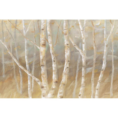 Autumn Birch landscape Gold Ornate Wood Framed Art Print with Double Matting by Coulter, Cynthia