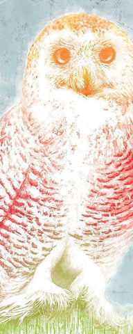 Snowy Owl panel rainbow Black Ornate Wood Framed Art Print with Double Matting by Cusson, Marie Elaine