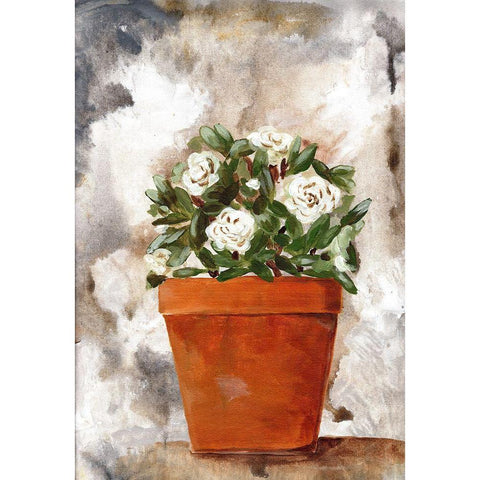 White Flower Clay Pot I Black Modern Wood Framed Art Print with Double Matting by Chapman, Marcy