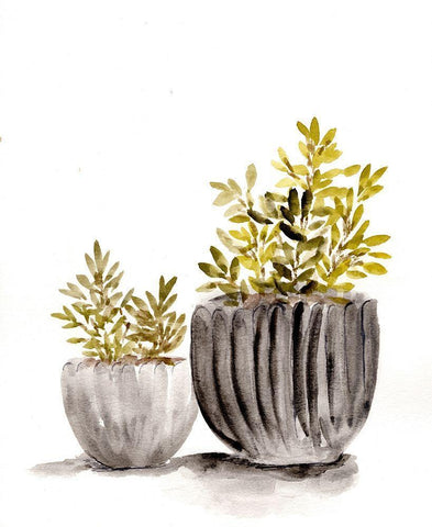 Gray Potted Plants Black Ornate Wood Framed Art Print with Double Matting by Chapman, Marcy