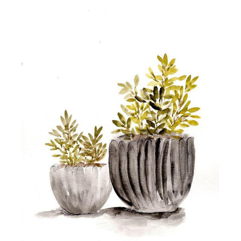 Gray Potted Plants Gold Ornate Wood Framed Art Print with Double Matting by Chapman, Marcy