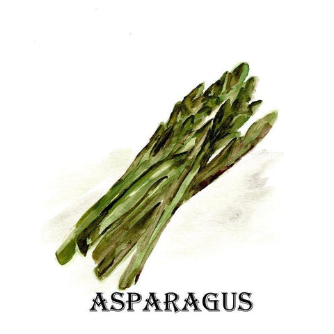 Veggie Sketch  I-Asparagus Black Modern Wood Framed Art Print with Double Matting by Chapman, Marcy