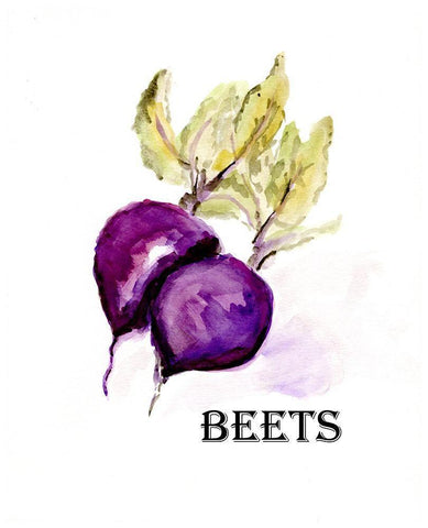 Veggie Sketch  III-Beets White Modern Wood Framed Art Print with Double Matting by Chapman, Marcy