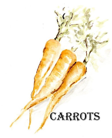 Veggie Sketch  V-Carrots Black Ornate Wood Framed Art Print with Double Matting by Chapman, Marcy