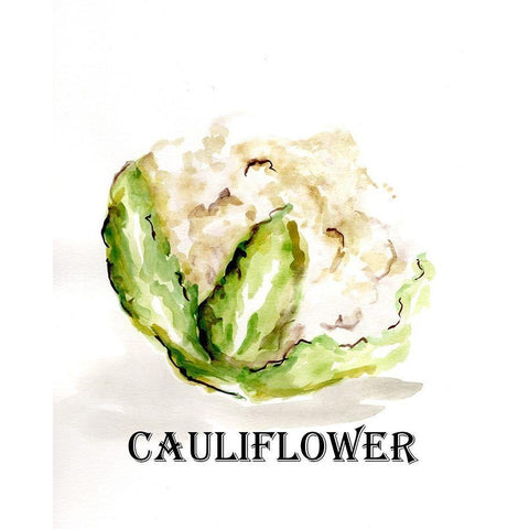 Veggie Sketch  VI-Cauliflower Black Modern Wood Framed Art Print with Double Matting by Chapman, Marcy