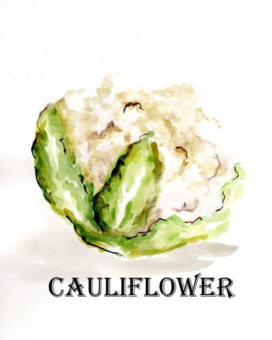 Veggie Sketch  VI-Cauliflower White Modern Wood Framed Art Print with Double Matting by Chapman, Marcy