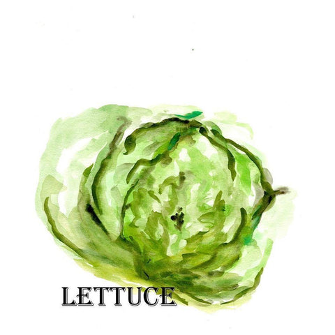 Veggie Sketch  IX-Lettuce Gold Ornate Wood Framed Art Print with Double Matting by Chapman, Marcy