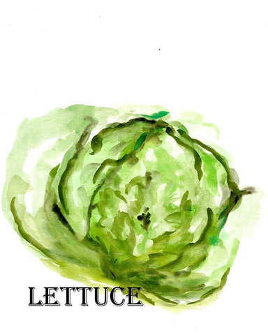 Veggie Sketch  IX-Lettuce Black Ornate Wood Framed Art Print with Double Matting by Chapman, Marcy