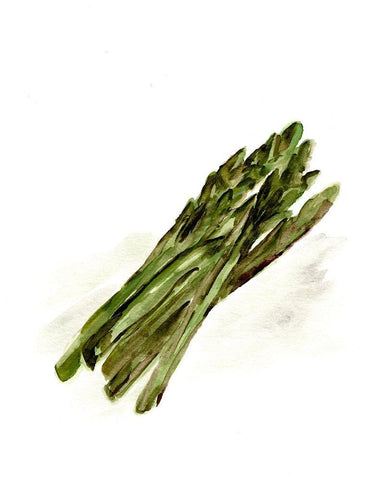 Veggie Sketch plain  I-Asparagus Black Ornate Wood Framed Art Print with Double Matting by Chapman, Marcy